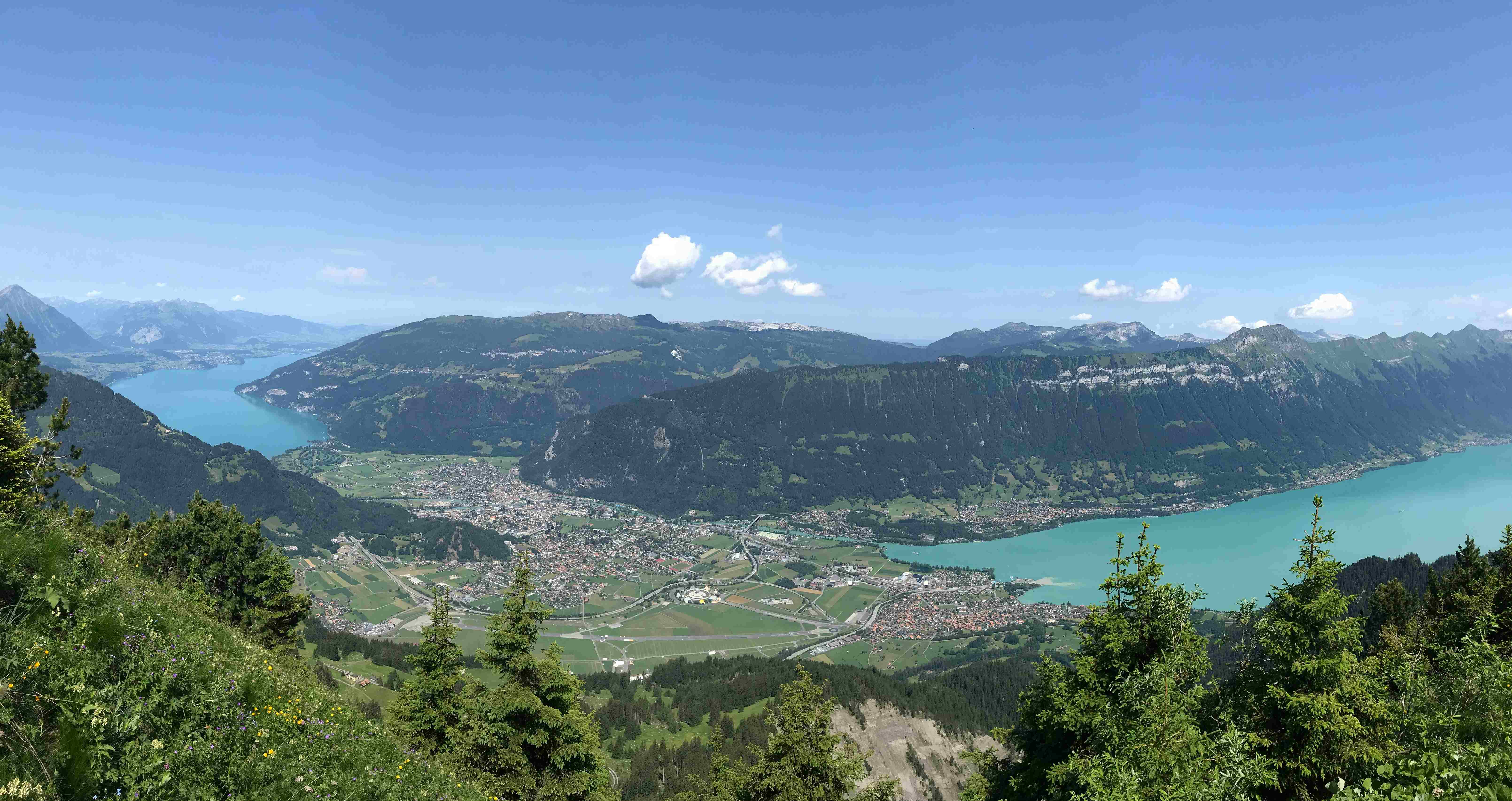 🇨🇭因特拉肯必去景點 8:徐尼格觀景台 (Schynige Platte)