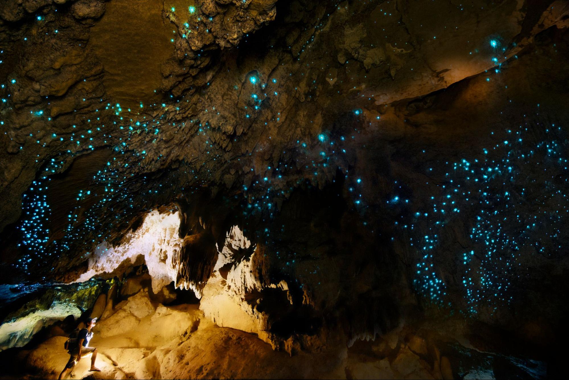 懷托摩螢火蟲洞（Waitomo Glowworm Caves）