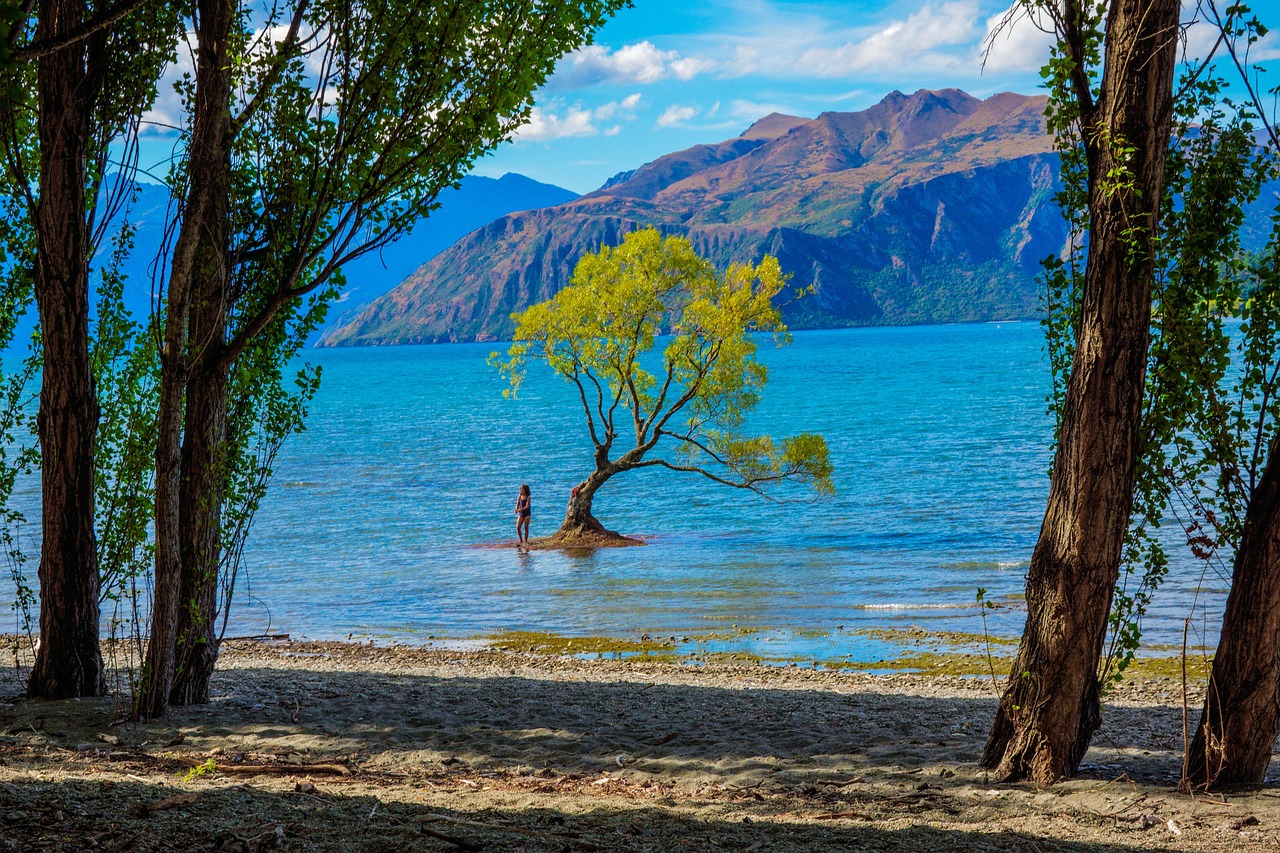 瓦納卡湖（Lake Wanaka）